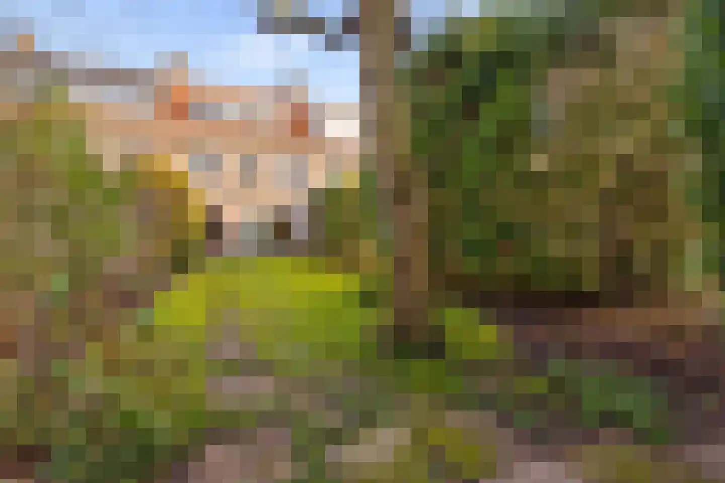 Ds Pasmastraat 16 Bunnik thumbnail 44