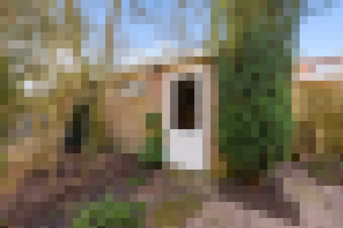 Ds Pasmastraat 16 Bunnik thumbnail 46