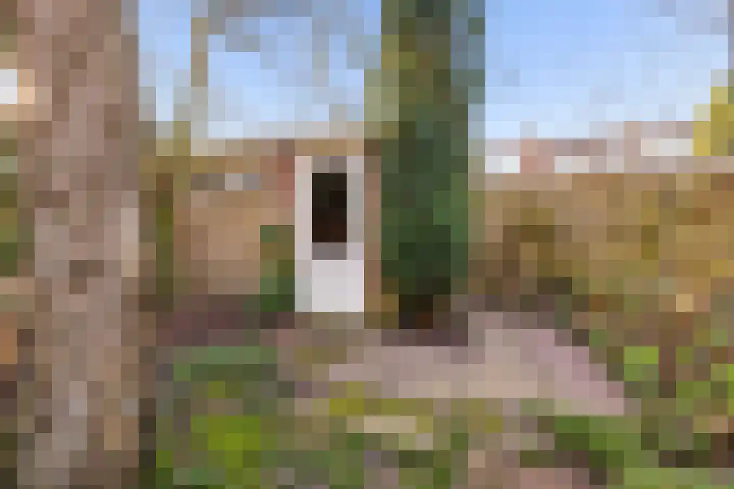 Ds Pasmastraat 16 Bunnik thumbnail 48