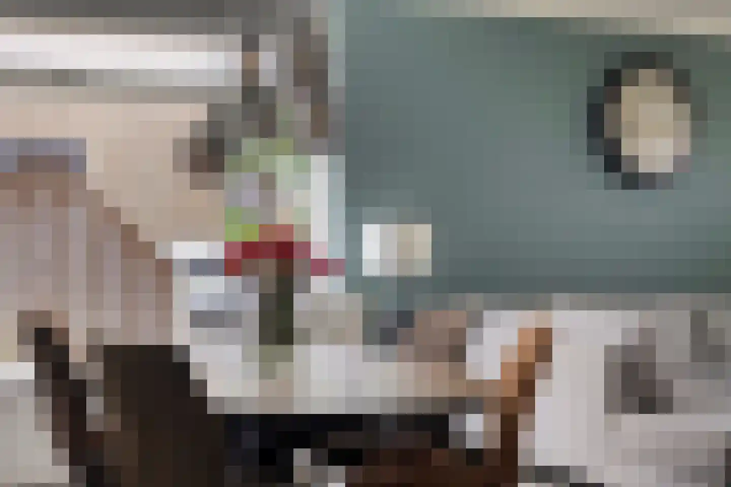 Ds Pasmastraat 3 Overdinkel thumbnail 15