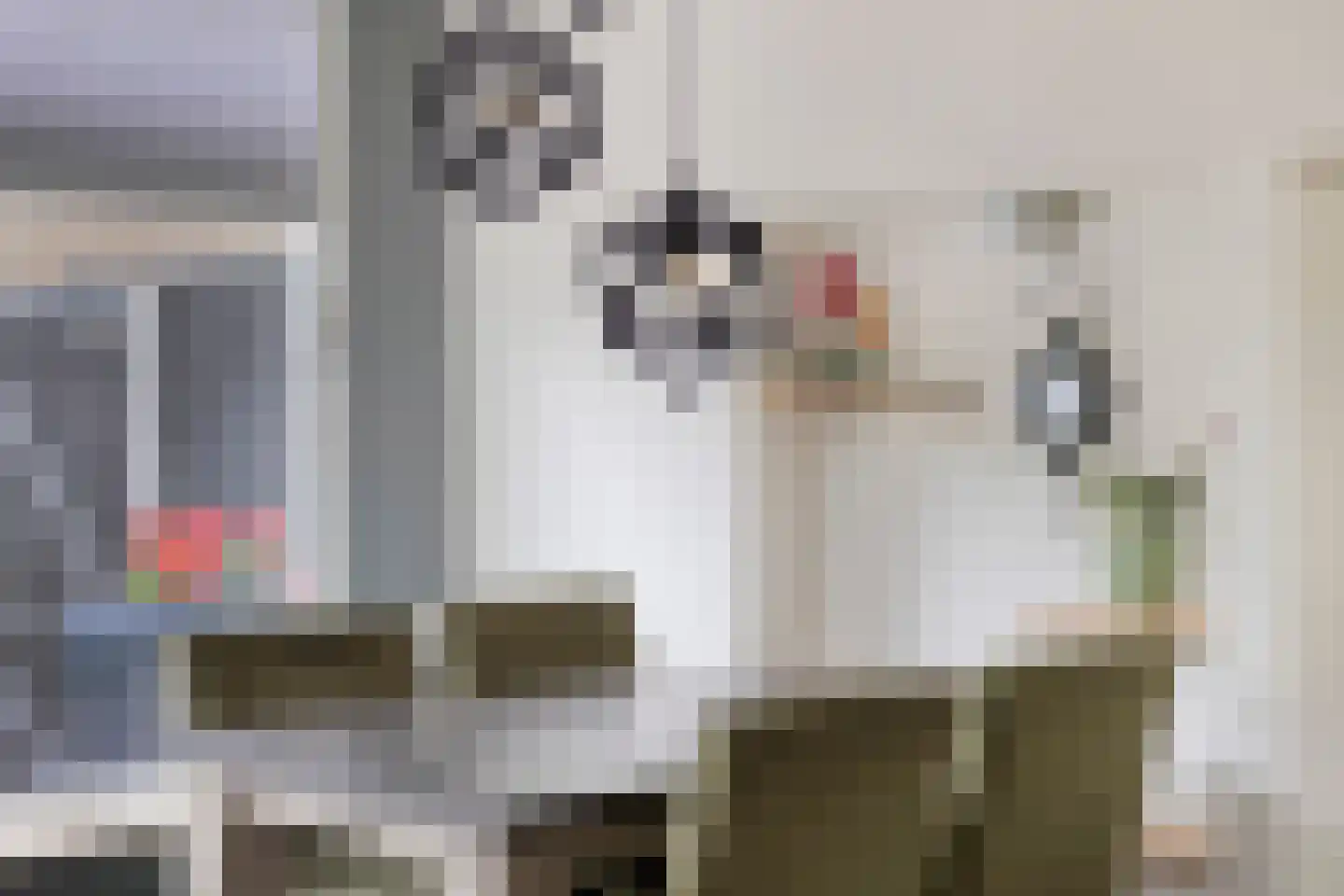 Ds Pasmastraat 3 Overdinkel thumbnail 17