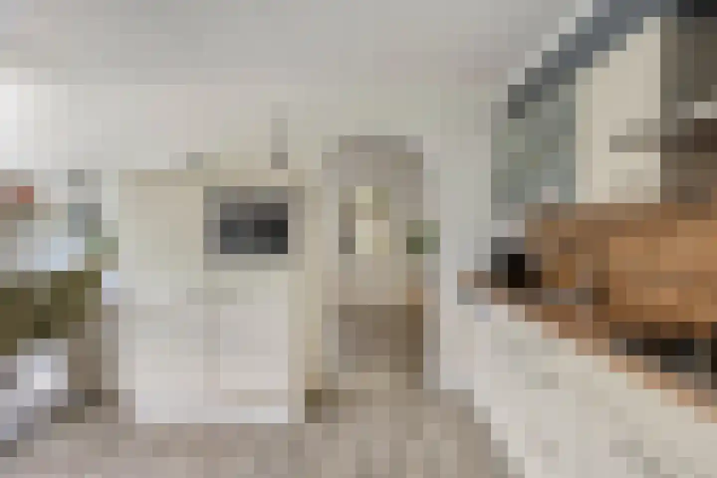 Ds Pasmastraat 3 Overdinkel thumbnail 19