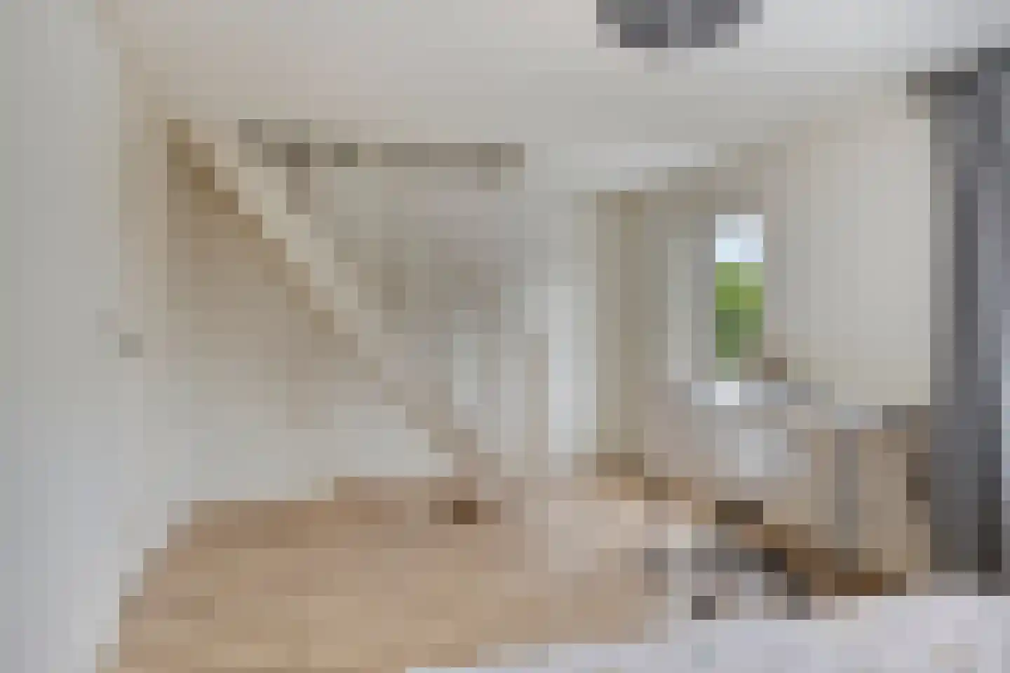 Ds Pasmastraat 3 Overdinkel thumbnail 24