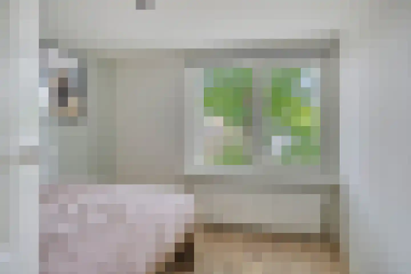 Ds Pasmastraat 3 Overdinkel thumbnail 26