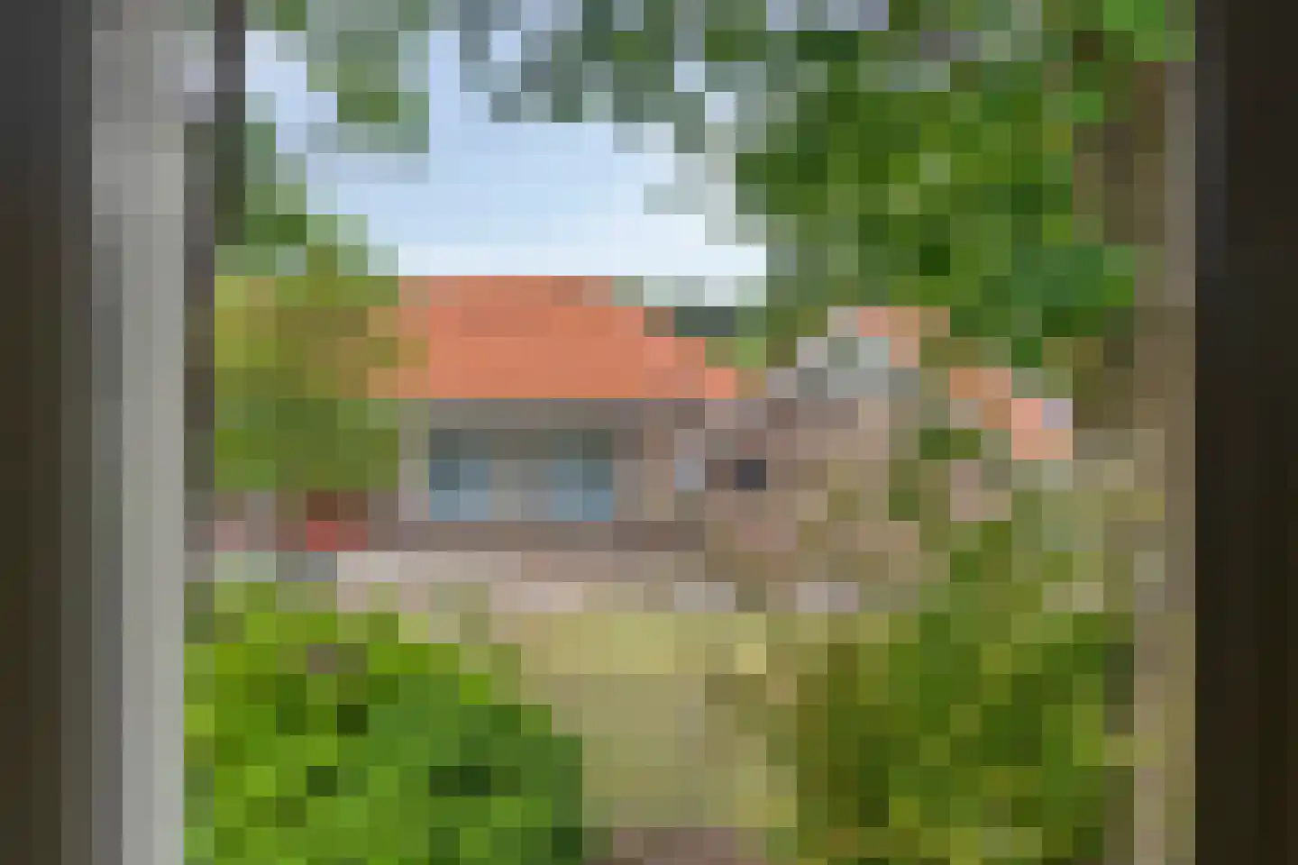 Ds Pasmastraat 3 Overdinkel thumbnail 27