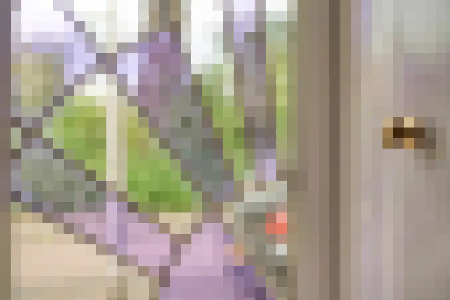 Ds Pasmastraat 3 Overdinkel thumbnail 6