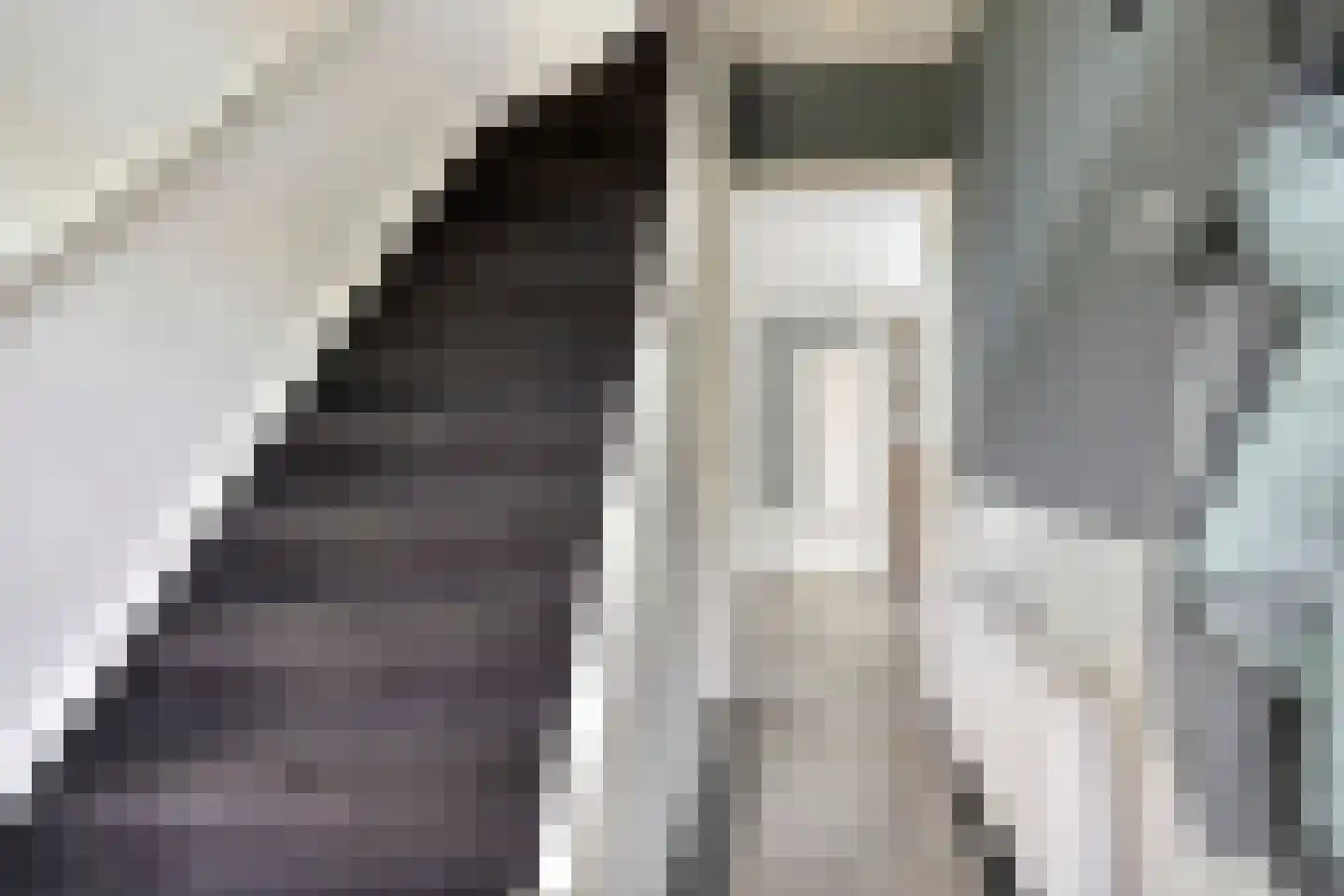 Ds Pasmastraat 3 Overdinkel thumbnail 8