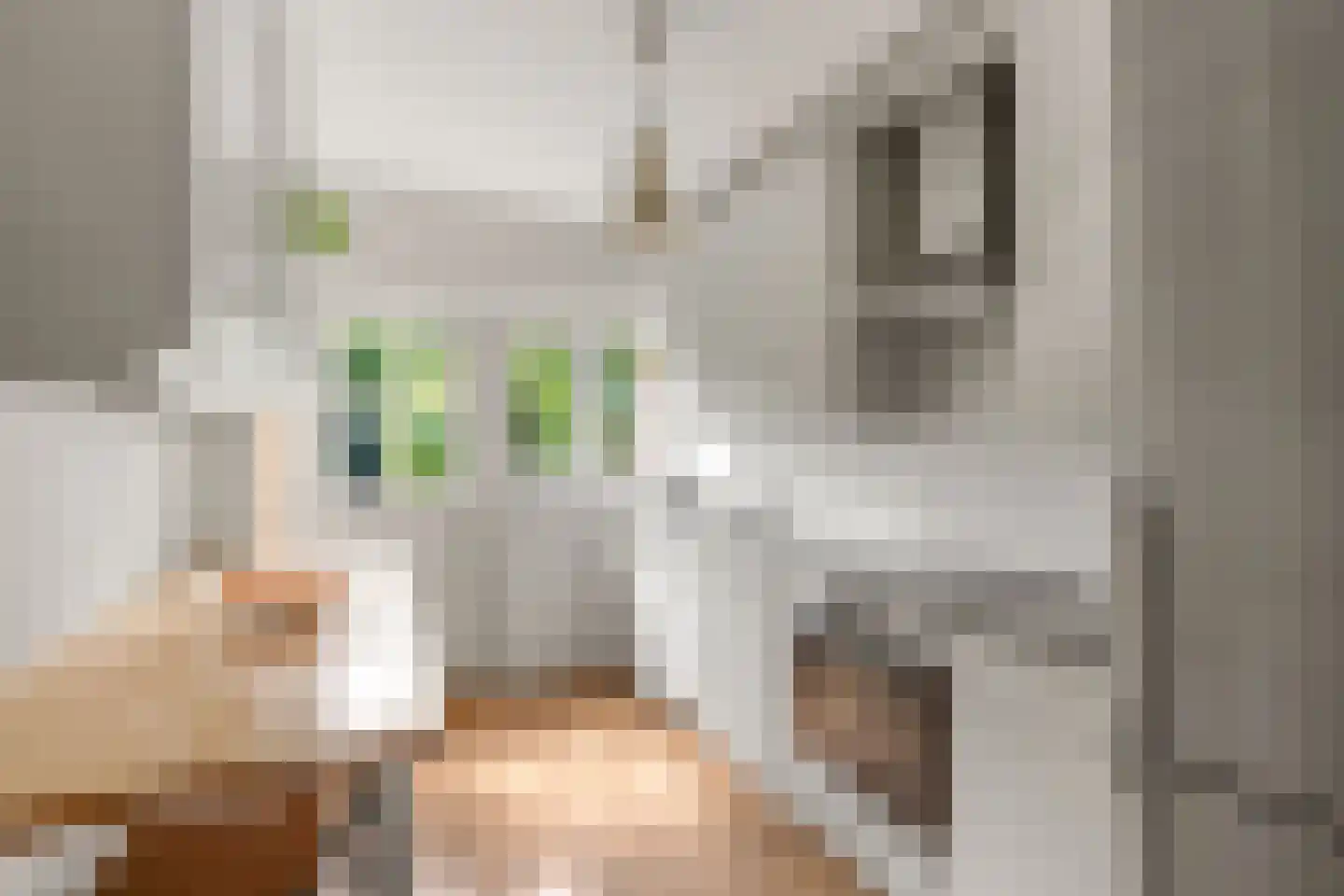 Ds Pasmastraat 4 Bunnik thumbnail 11