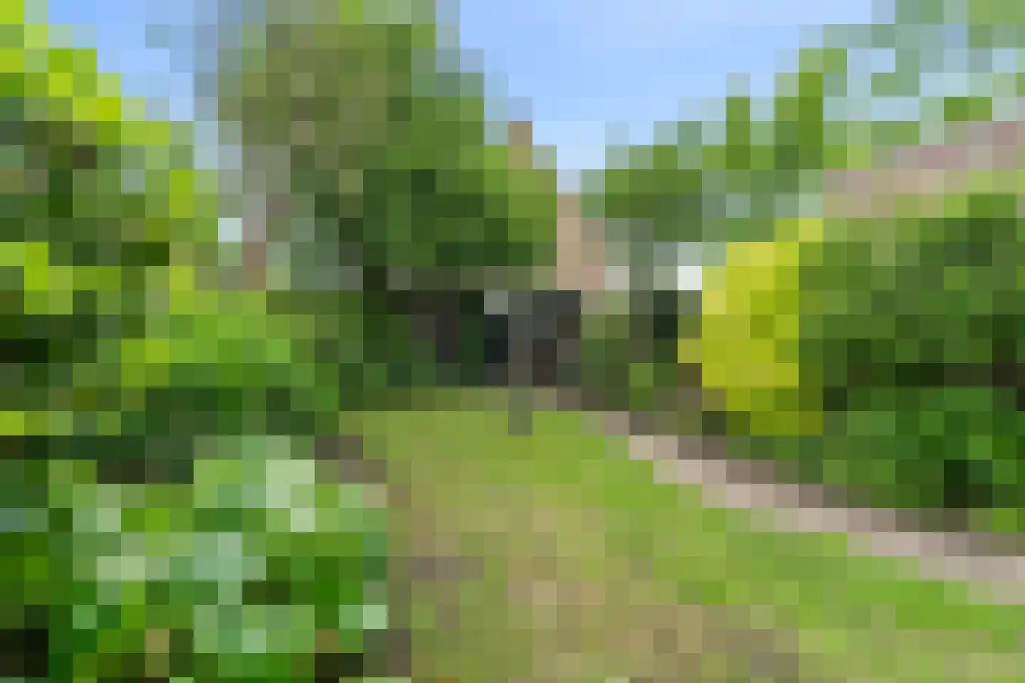 Ds Pasmastraat 4 Bunnik thumbnail 15
