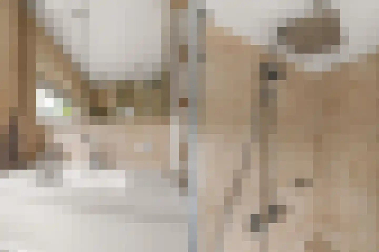 Ds Pasmastraat 4 Bunnik thumbnail 26