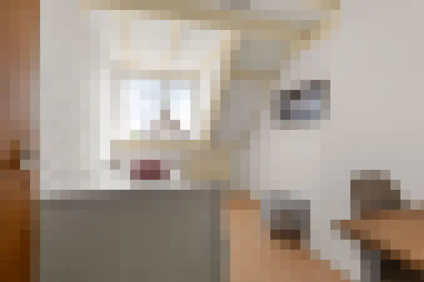 Ds Pasmastraat 4 Bunnik thumbnail 31
