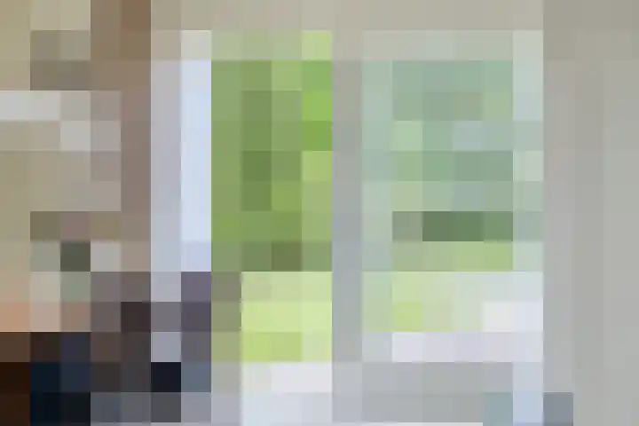 Ds. Pelstraat 35 Suwâld thumbnail 10