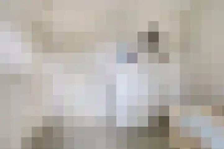 Ds. Pelstraat 35 Suwâld thumbnail 15