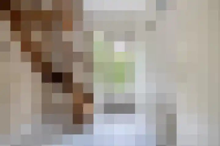 Ds. Pelstraat 35 Suwâld thumbnail 22