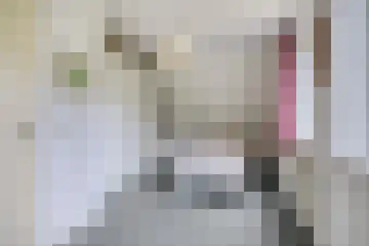 Ds. Pelstraat 35 Suwâld thumbnail 25