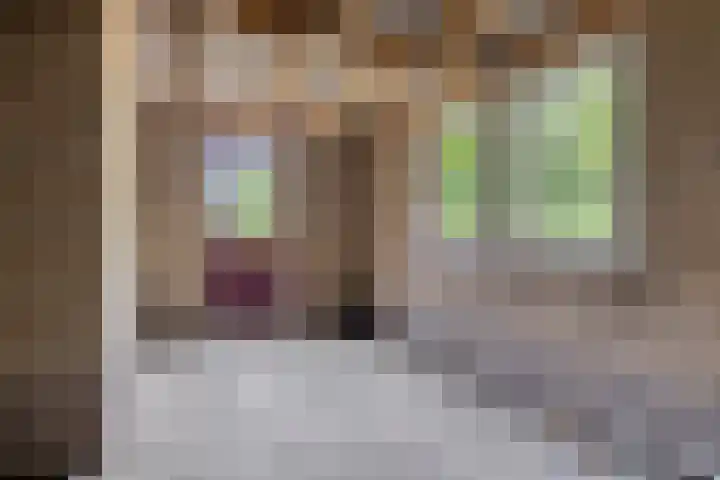 Ds. Pelstraat 35 Suwâld thumbnail 32