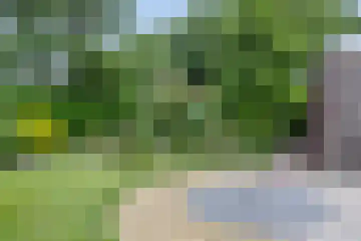 Ds. Pelstraat 35 Suwâld thumbnail 35