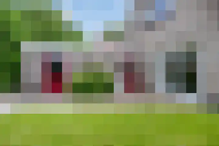 Ds. Pelstraat 35 Suwâld thumbnail 36