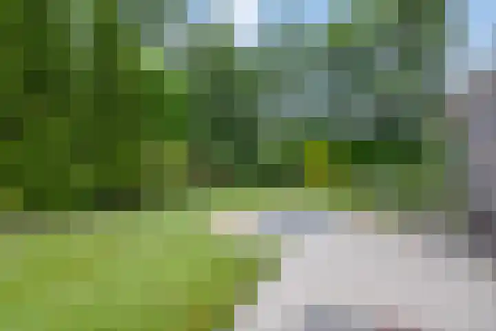 Ds. Pelstraat 35 Suwâld thumbnail 37