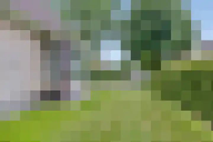 Ds. Pelstraat 35 Suwâld thumbnail 38