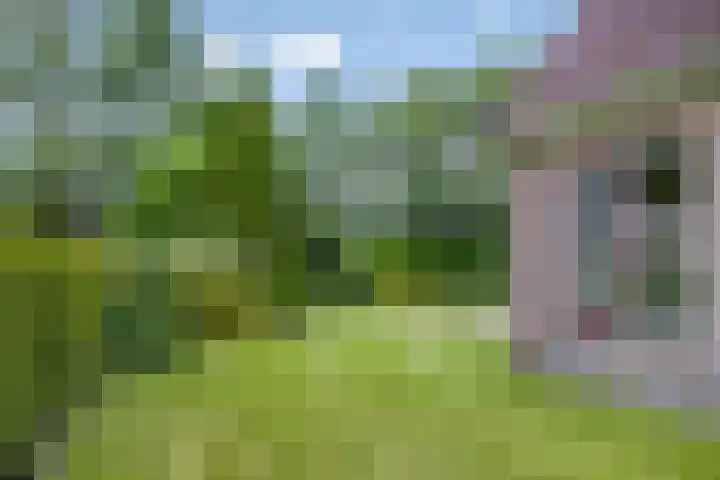 Ds. Pelstraat 35 Suwâld thumbnail 39