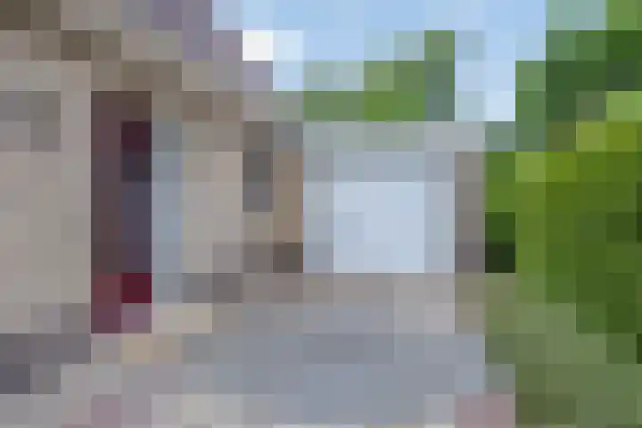 Ds. Pelstraat 35 Suwâld thumbnail 40