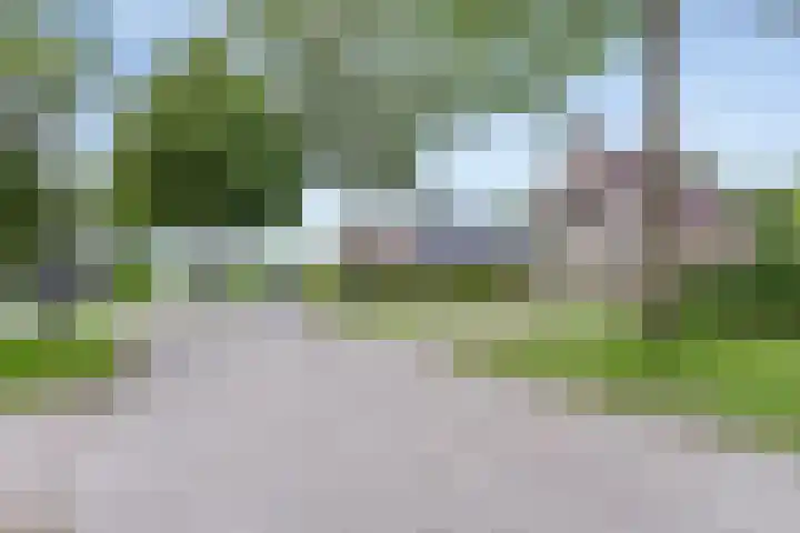 Ds. Pelstraat 35 Suwâld thumbnail 43