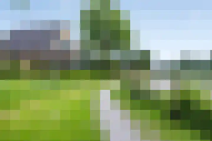 Ds. Pelstraat 35 Suwâld thumbnail 45