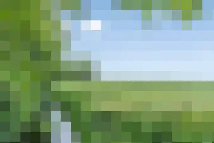 Ds. Pelstraat 35 Suwâld thumbnail 46