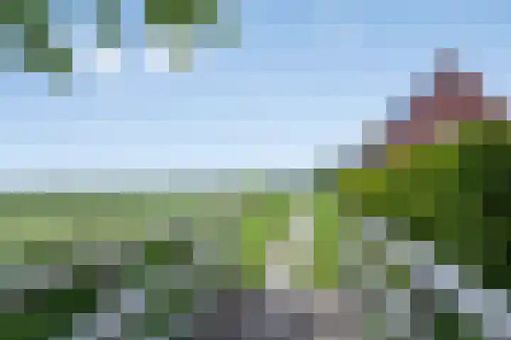 Ds. Pelstraat 35 Suwâld thumbnail 47