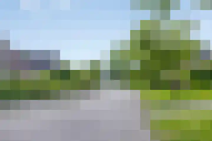 Ds. Pelstraat 35 Suwâld thumbnail 48