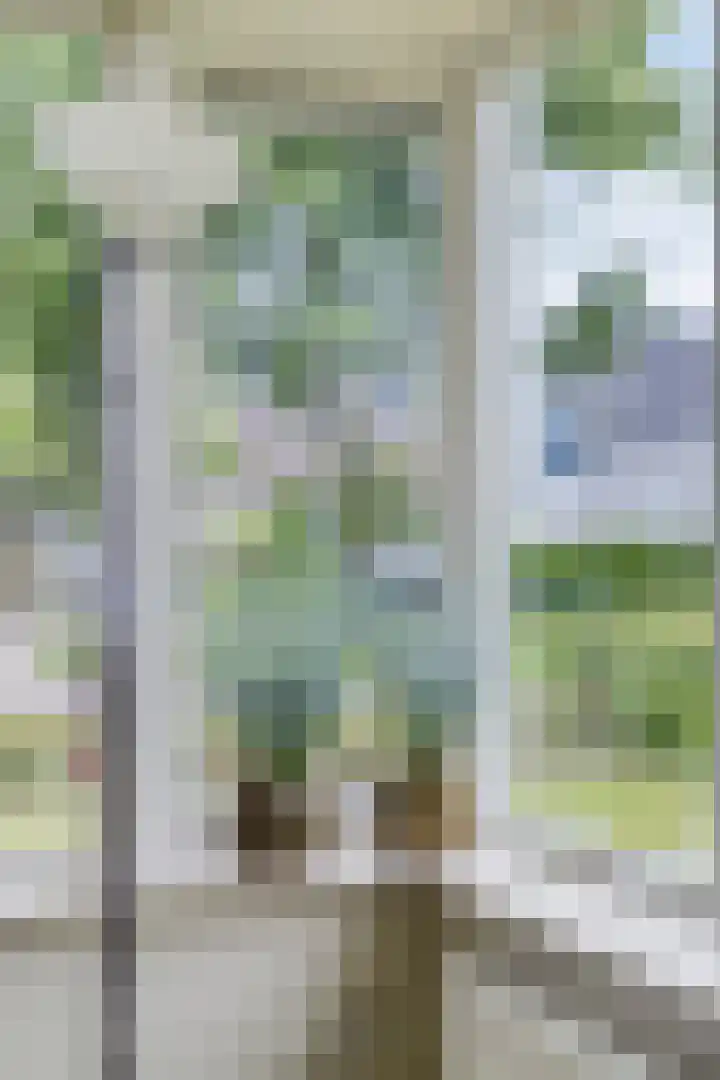Ds. Pelstraat 35 Suwâld thumbnail 5