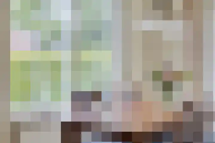 Ds. Pelstraat 35 Suwâld thumbnail 7