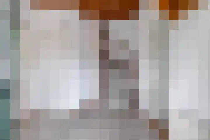 Ds. Pelstraat 9 Suwâld thumbnail 13