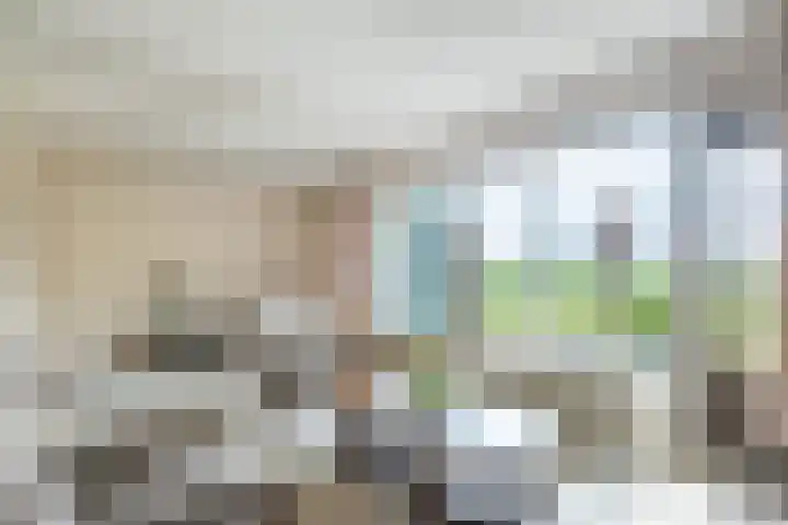 Ds. Pelstraat 9 Suwâld thumbnail 16