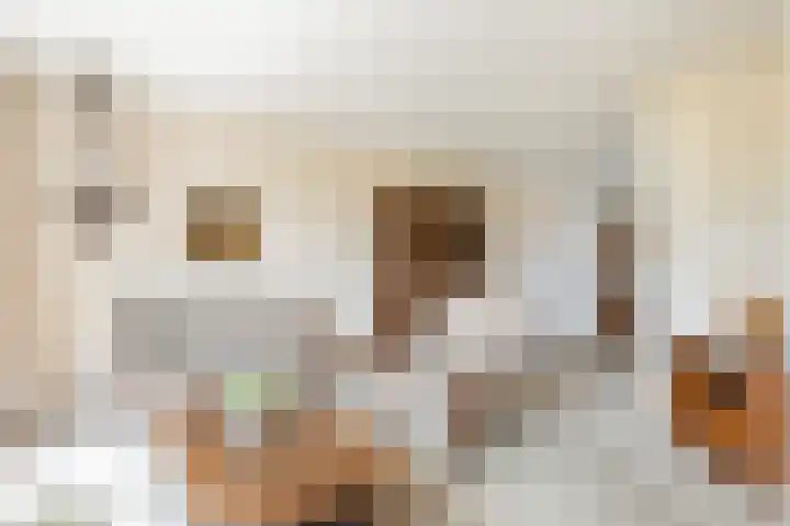 Ds. Pelstraat 9 Suwâld thumbnail 18