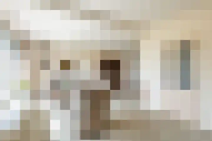 Ds. Pelstraat 9 Suwâld thumbnail 19