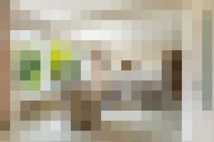 Ds. Pelstraat 9 Suwâld thumbnail 20