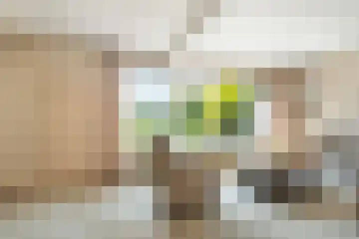 Ds. Pelstraat 9 Suwâld thumbnail 21