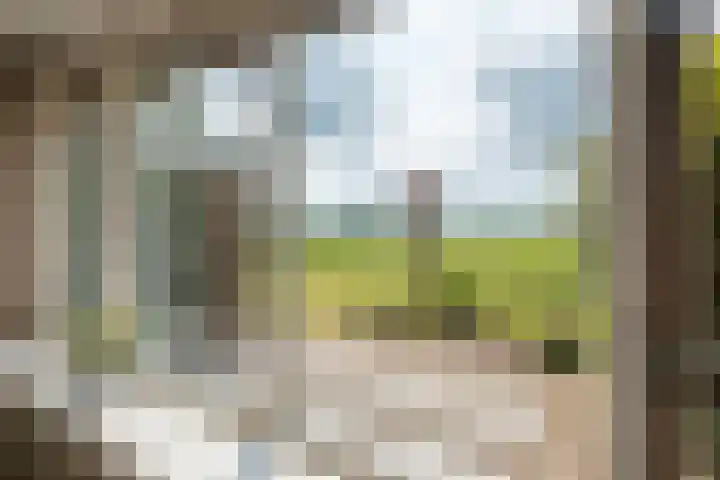 Ds. Pelstraat 9 Suwâld thumbnail 22