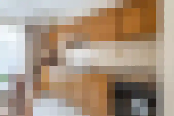 Ds. Pelstraat 9 Suwâld thumbnail 27