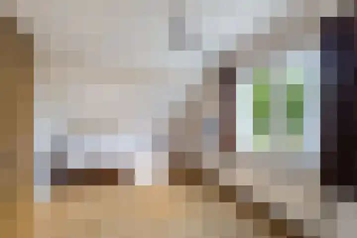 Ds. Pelstraat 9 Suwâld thumbnail 40