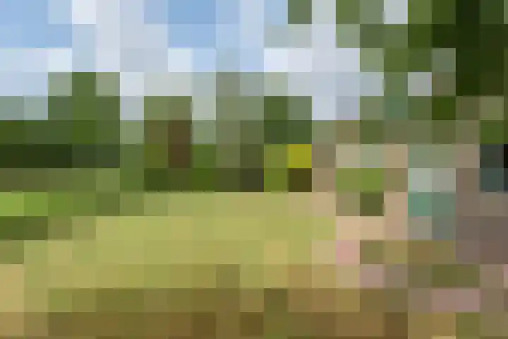 Ds. Pelstraat 9 Suwâld thumbnail 51