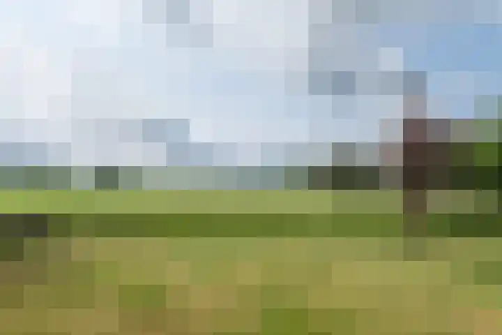 Ds. Pelstraat 9 Suwâld thumbnail 52
