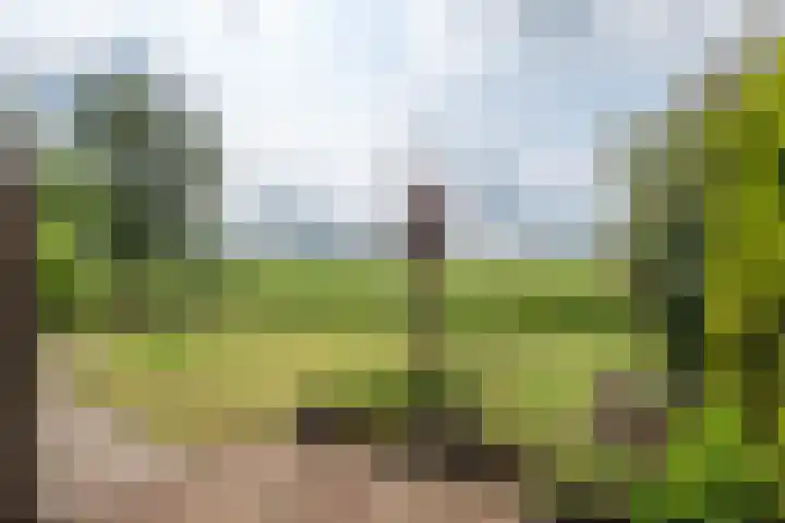 Ds. Pelstraat 9 Suwâld thumbnail 53