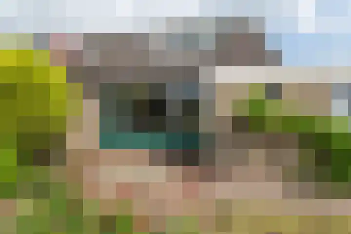 Ds. Pelstraat 9 Suwâld thumbnail 54