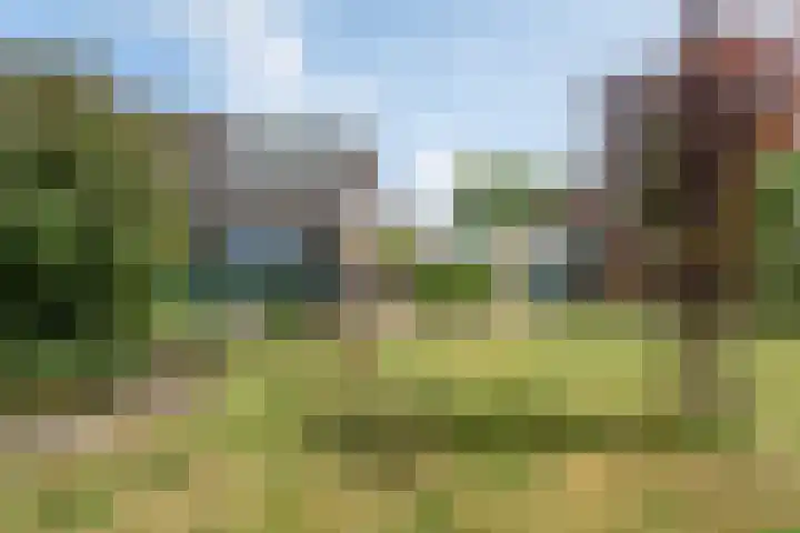 Ds. Pelstraat 9 Suwâld thumbnail 56