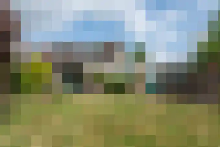 Ds. Pelstraat 9 Suwâld thumbnail 57