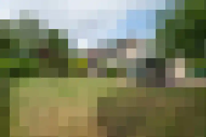 Ds. Pelstraat 9 Suwâld thumbnail 58