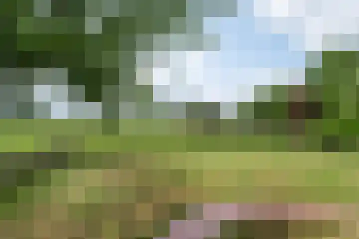 Ds. Pelstraat 9 Suwâld thumbnail 59